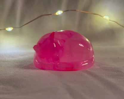 Small Sleeping Cat Rose